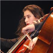 Profesora particular de cualquier asignatura de primaria (lengua castellana, valenciano, matemáticas, historia, inglés...)